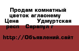 Продам комнатный цветок аглаонему. › Цена ­ 400 - Удмуртская респ., Сарапул г.  »    